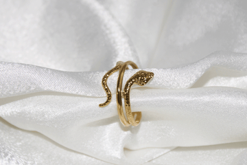 Anello Snake