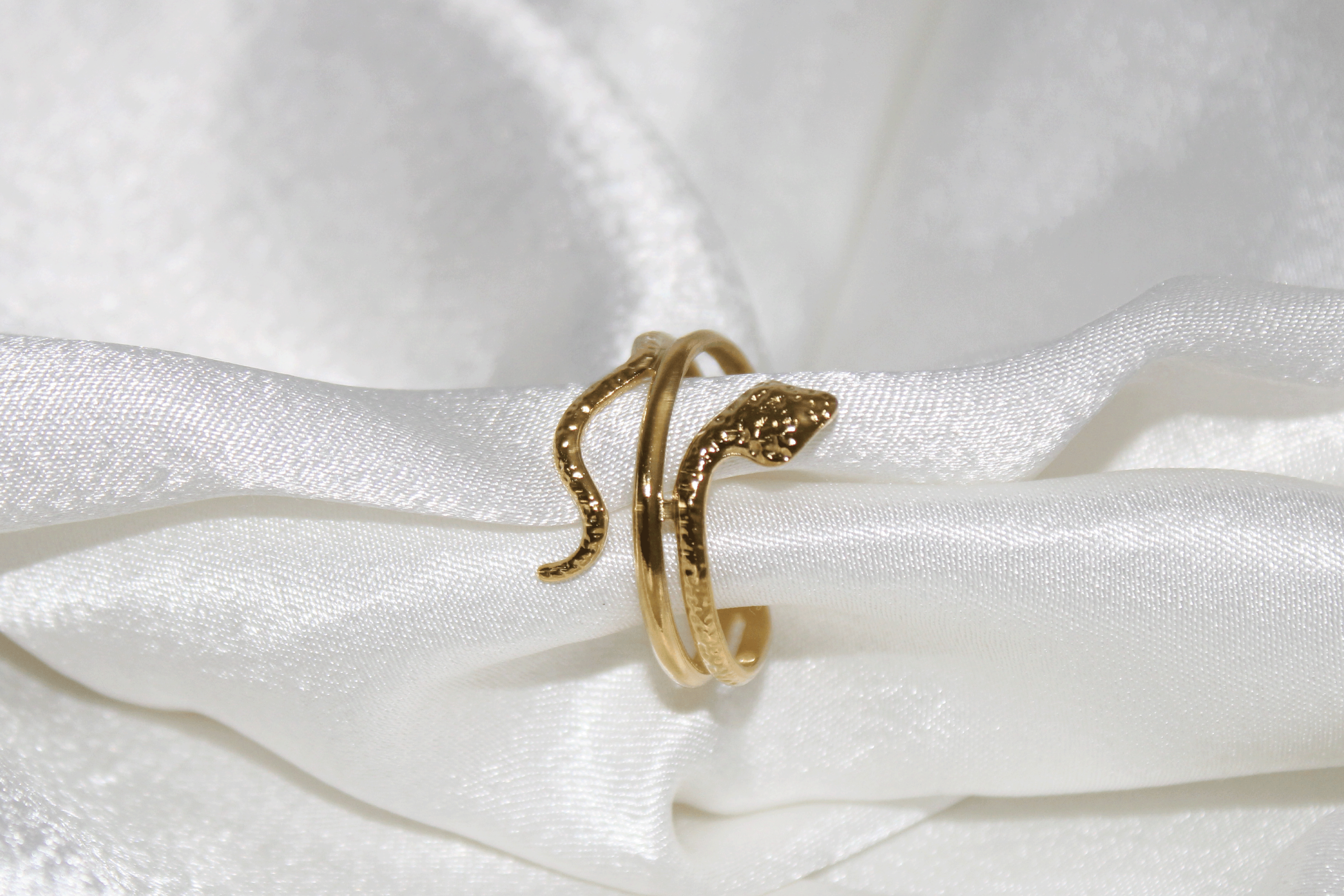 Anello Snake